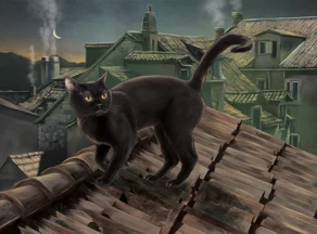 黒猫