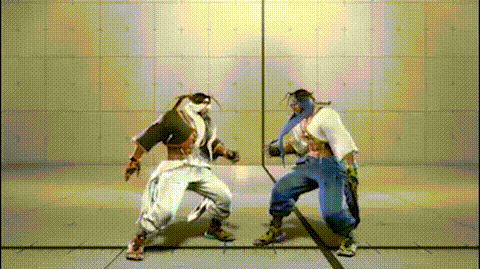 フラップ・スピン