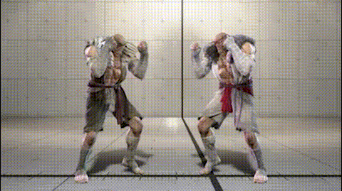 タイガーヴァンキッシュ