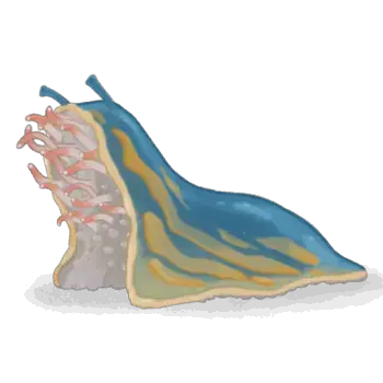 死体ナメクジ