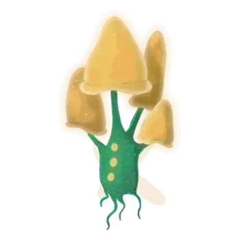 フライコニド