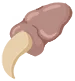 パエルの爪