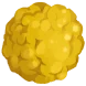 花粉の核